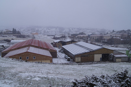 gaec ferme du clos photo 2